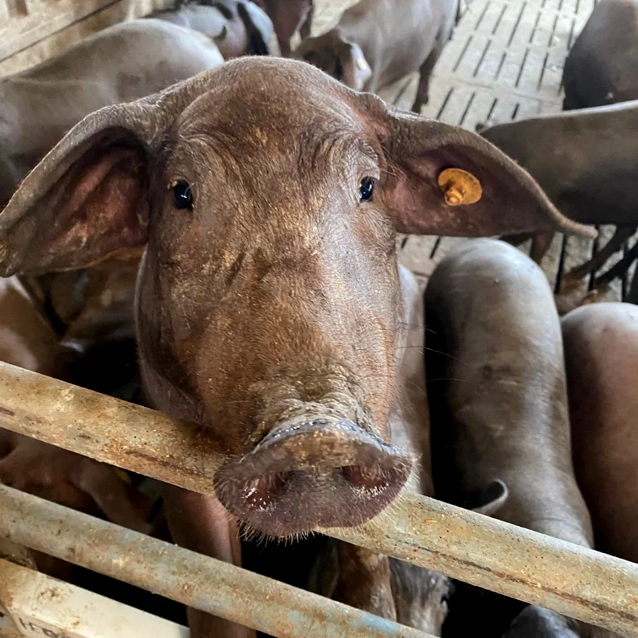 Foto de Raquel López